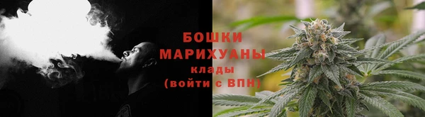 стафф Богородск