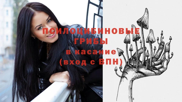 spice Белокуриха