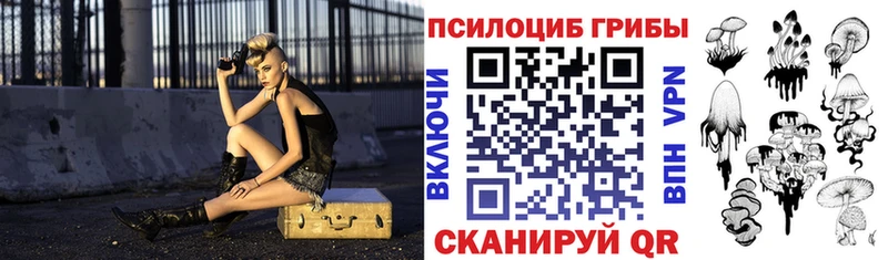 Галлюциногенные грибы прущие грибы  Новороссийск 